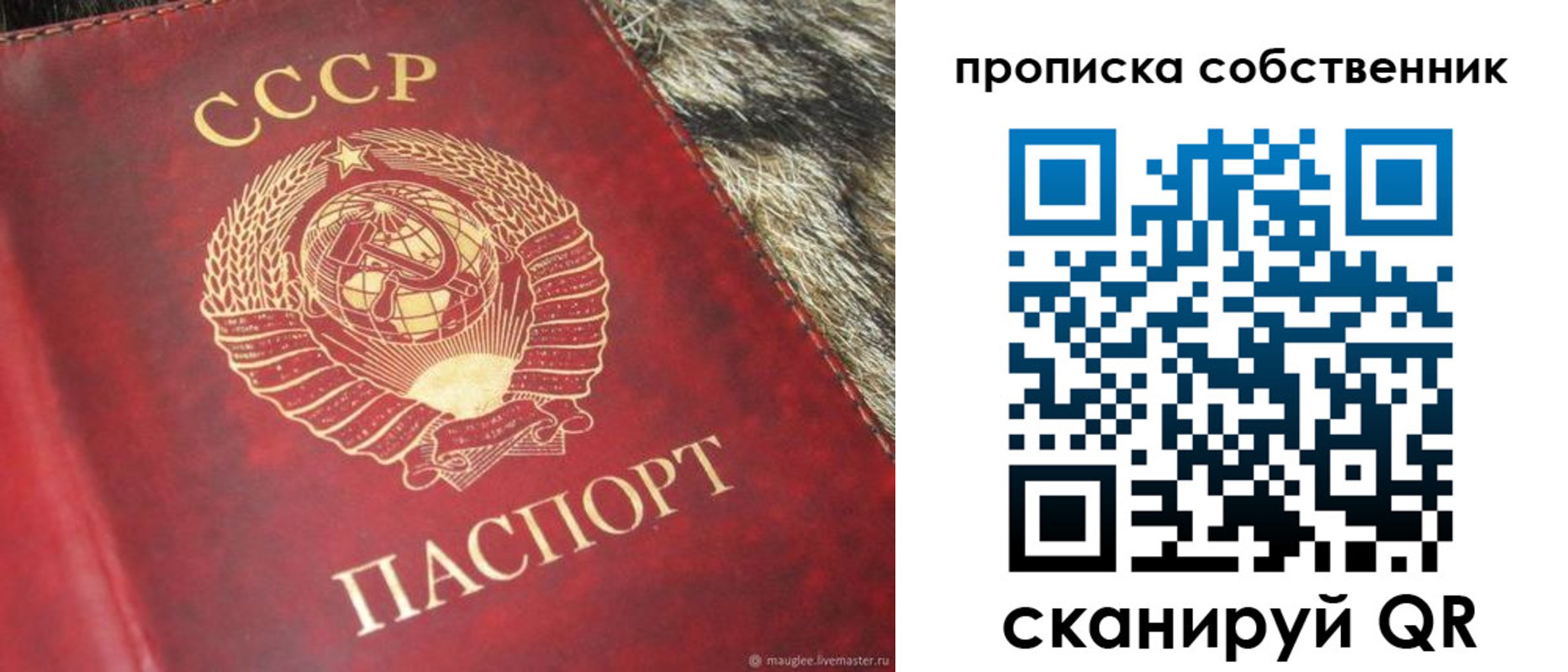 прописка в квартире в Дрезне